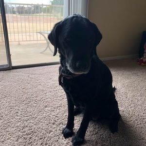 Meet your Posher, Cassie